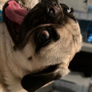 Meet your Posher, Manuel